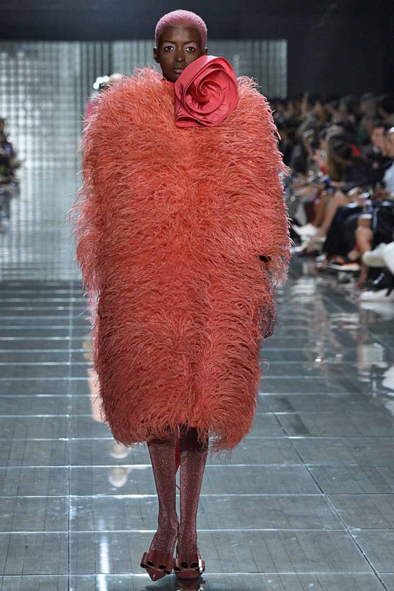 Living Coral, nuevo color Pantone para 2019 Living Coral, nuevo color Pantone para 2019