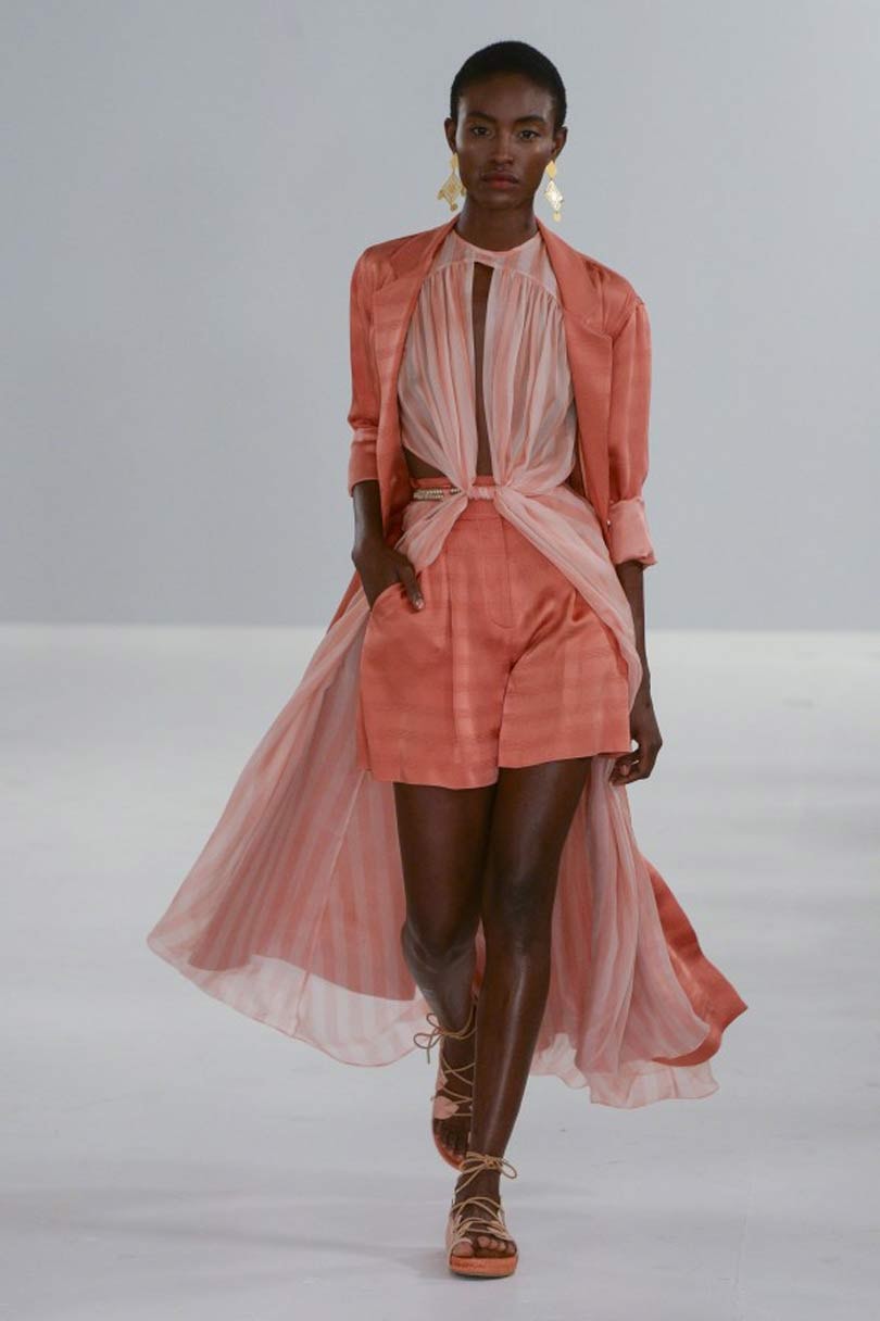 Living Coral, nuevo color Pantone para 2019 Living Coral, nuevo color Pantone para 2019